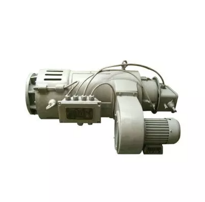 Slewing Motor for Tower Crane 2